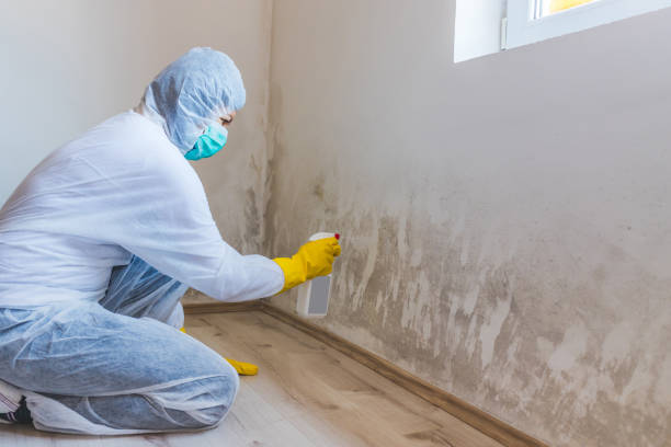 Licensed Mold Inspection service in Cibolo, TX - WQB Mold Removal