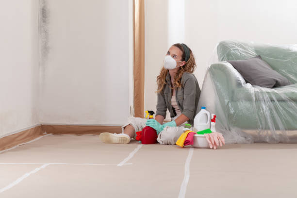Reliable Mold Inspection contractor in Cibolo, TX by WQB Mold Removal